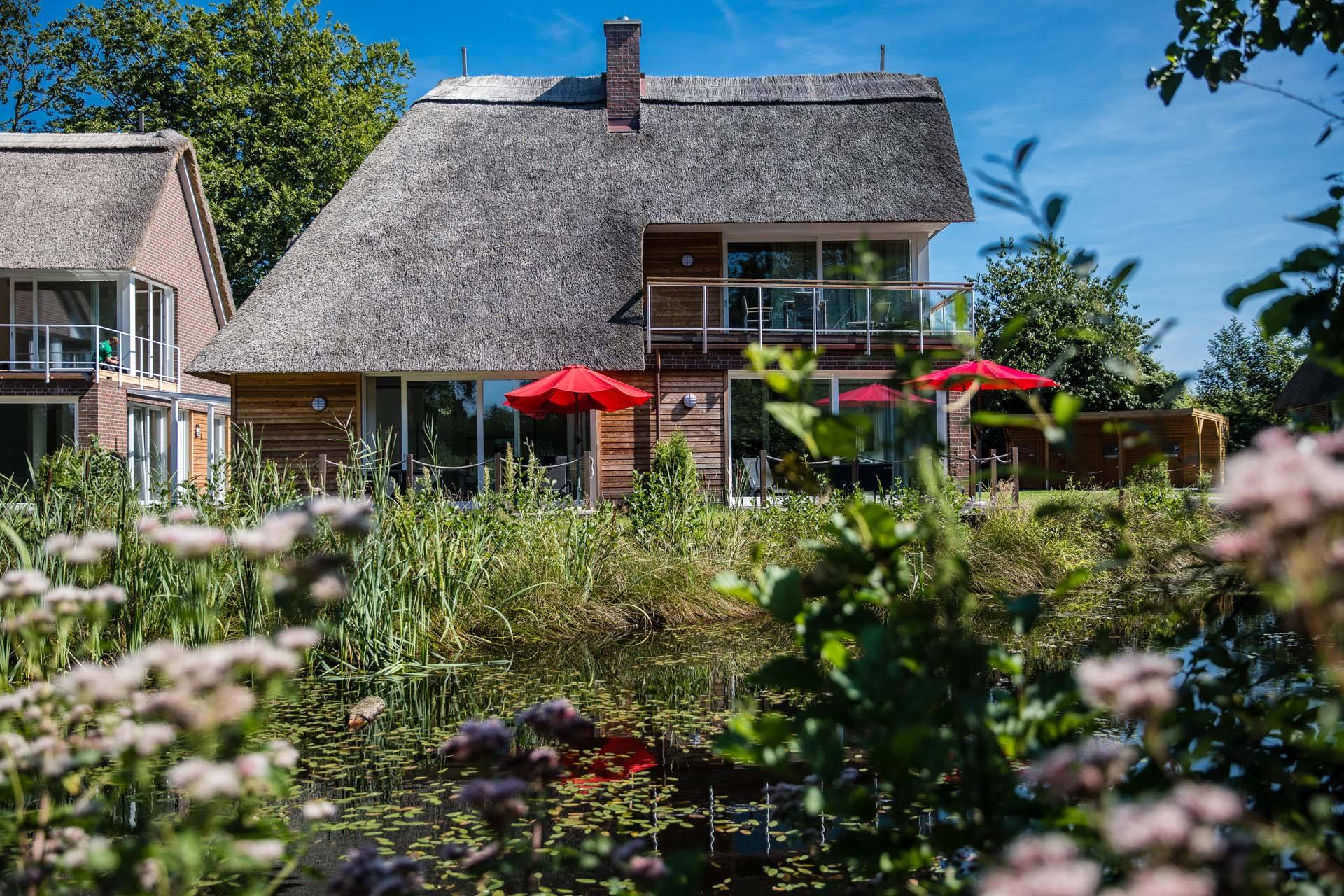 Ferienhaus Wasser mit Reetdach und roten Sonnenschirmen am Ufer des kleinen Meers in Bad Zwischenahn